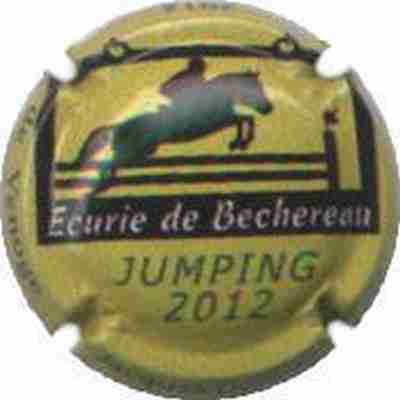 N°133 Jumping 2012 Bechereau
Photo Capsule.be
