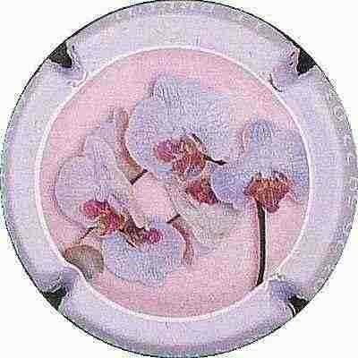 N°059 Orchidées, Contour violet pale
Photo BENEZETH Louis

