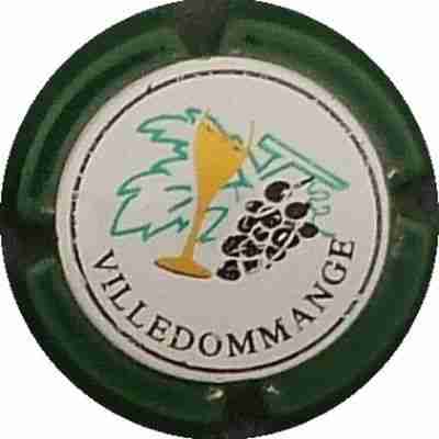 N°04 Série de 9 (grappe), contour vert
Photo BENEZETH Louis
