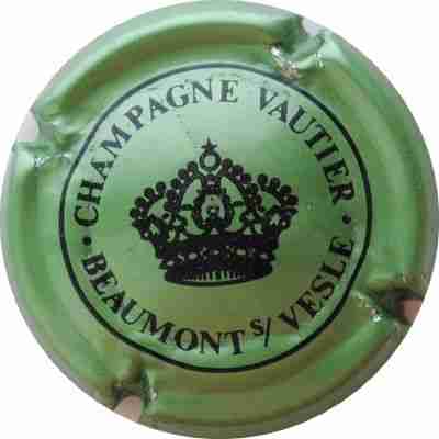 N°16b Vert pâle métal et noir
Photo: BERCE Luc
