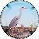 THIBAUT_DANIEL_Ndeg28_HERON_CENDRE.jpg