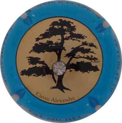 N°11 NR Cuvée Alexandre, avec strass
Photo Champ'Alsacollection
Mots-clés: NR