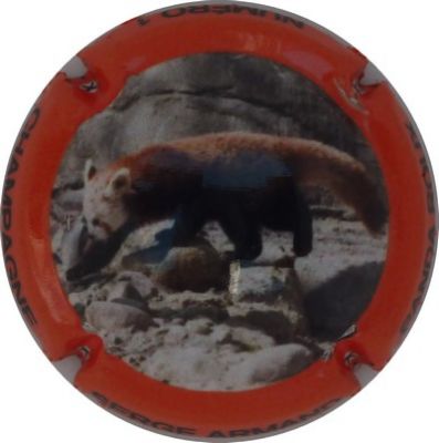 N°12 Panda roux, contour orange
Photo Champ'Alsacollection

