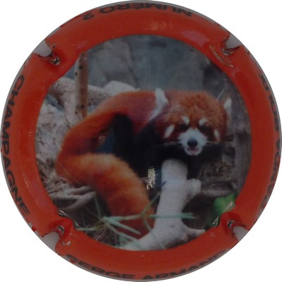 N°12 Panda roux, contour orange
Photo Champ'Alsacollection
