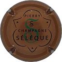 seleque~1.jpg