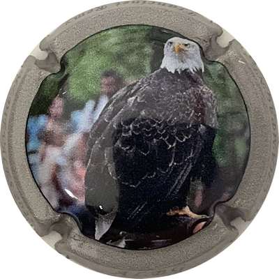 N°28c Albg, aigle, contour gris
Photo Bruno HEBMANN GONTIER
