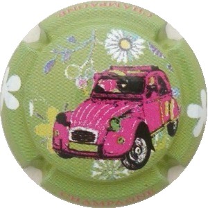 C50c Fond vert pâle
Photo J.R.
