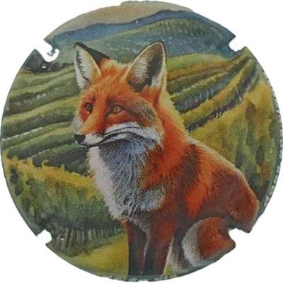 N°1432a 02 sur 12 Renard
Photo Jacky MICHEL
