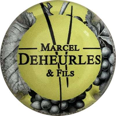 N°55h Fond vert-jaune
Photo Bruno HEBMANN GONTIER
