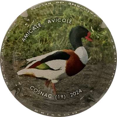 N°058e Cosnac 224
Photo Bruno HEBMANN GONTIER
