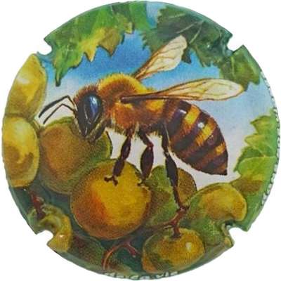 N°1432e 06 sur 12 Abeille
Photo Jacky MICHEL
