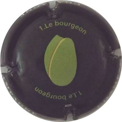 N°0905 1 Le bourgeon
Photo René COSSEMENT
