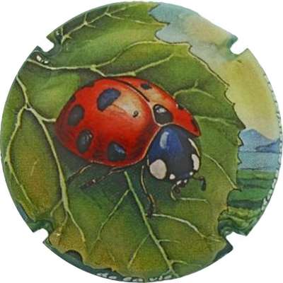N°1432h sur 12 coccinelle
Photo Jacky MICHEL
