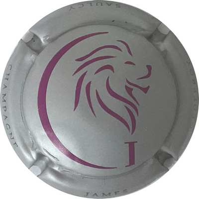 N°04b Tête de lion, argent et fuchsia
Photo Bruno HEBMANN GONTIER
