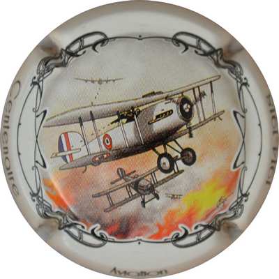 N°0890a Série de 12 (guerre 14-18) Aviation
Photo GOURAUD Jacques
