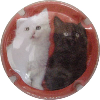 N°10 Série  de 6 chats, 5/6
Photo GAXATTE Bernard
