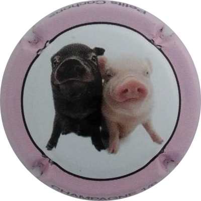 C80 N°01
Photo Jacky MICHEL
