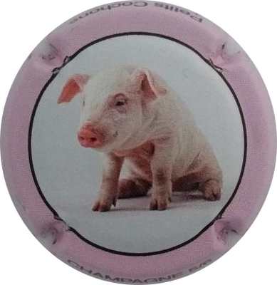 C80 N°05
Photo Jacky MICHEL
