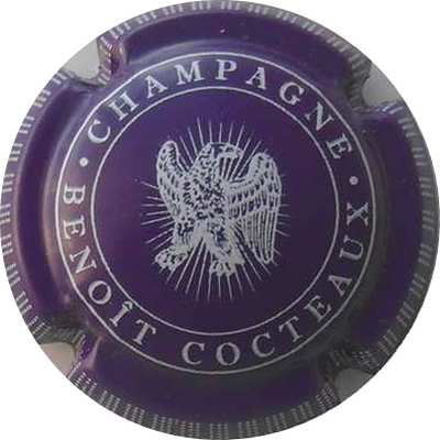 N°09a Violet foncé et blanc
Photo THIERRY Jacques
