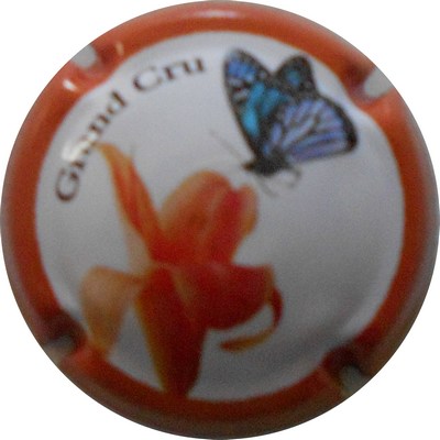 N°23b Contour orange
Photo LE FAUCHEUR Alexandre
