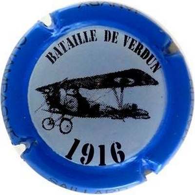 N°13 Bataille de Verdun 1916, contour bleu
Photo Bernard GAXATTE
