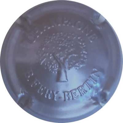 N°01c Estampée violet foncé
Photo Guy BISSET
