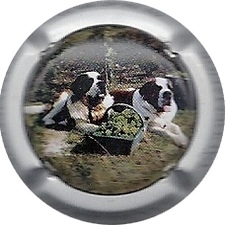 N°04 Contour blanc
Photo MEREAUX Clément
