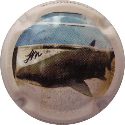 C58d Polychrome 5/6
Photo GOURAUD Jacques
