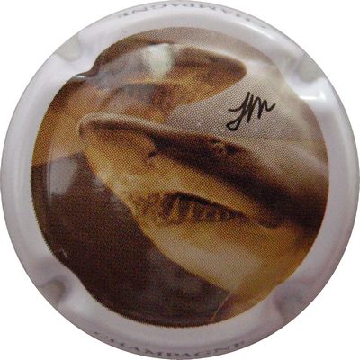 C58e Polychrome 6/6
Photo GAXATTE Bernard
