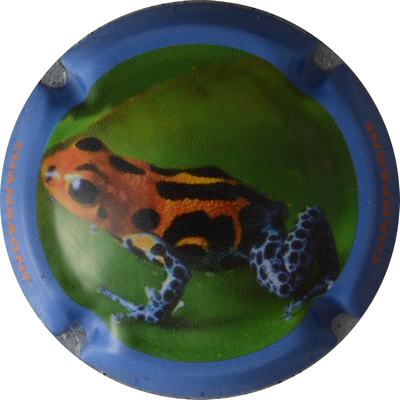 C42e Contour bleu
Photo GOURAUD Jacques
