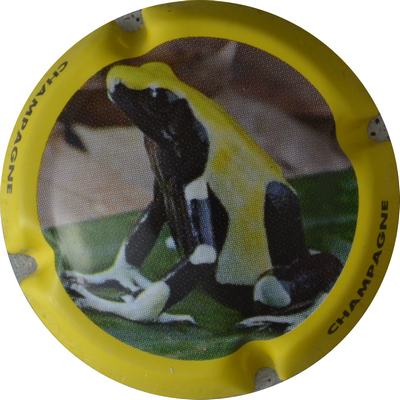 C42c Contour jaune
Photo GOURAUD Jacques
