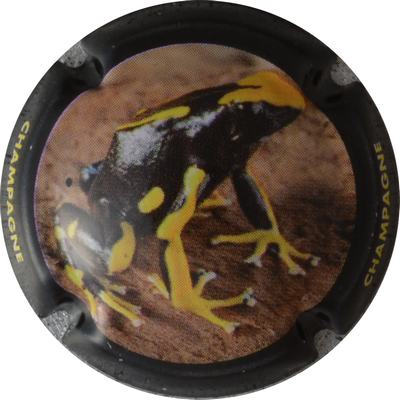 C42d Contour noir
Photo GOURAUD Jacques
