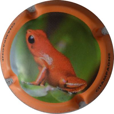 C42 Contour orange
Photo GOURAUD Jacques
