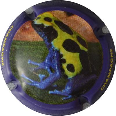 C42b Contour violet
Photo GOURAUD Jacques
