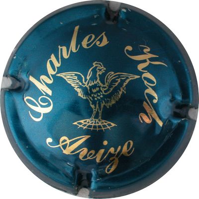N°10 Bleu et or, Charles Koch
Photo GOURAUD Jacques
