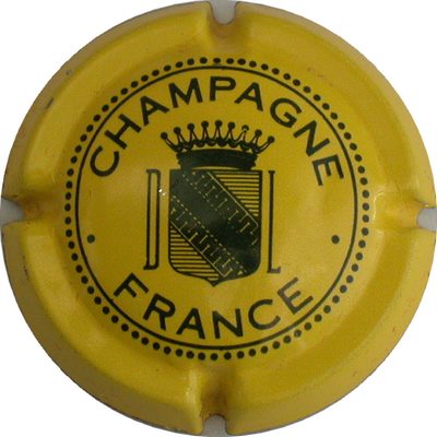 N°10a jaune-citron et noir
Photo GOURAUD Jacques
