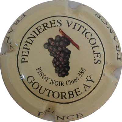 N°13 Pinot noir, clone 386
Photo GOURAUD Jacques
