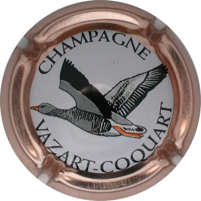 N°14a Contour rosé, centre plus petit
Photo GOURAUD Jacques
