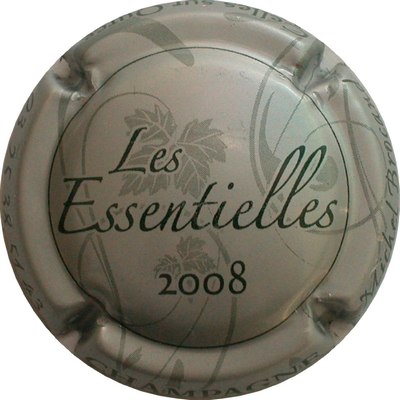 N°15a Les Essentielles, 2008
Merci à  Jacques GOURAUD

