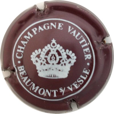 N°16a Marron-métal et blanc
Photo GOURAUD Jacques
