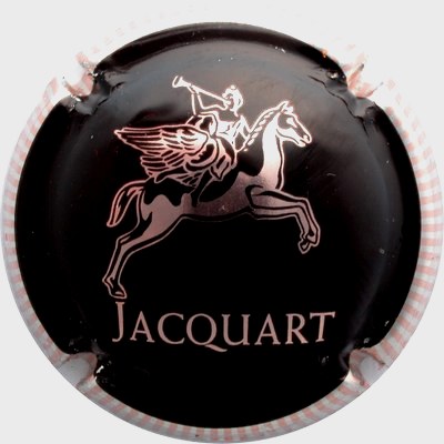 N°21 Cheval rosé, contour métal, striée, patte arrière sur le J
Photo GOURAUD Jacques
