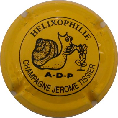 N°11 Série de 5 Jérà´me (hélixophilie), jaune et noir, A-D-P
Photo GOURAUD Jacques
