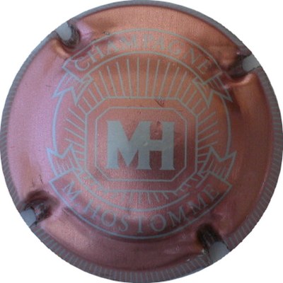 N°24 Rosé et argent, petites stries sur contour
Photo GOURAUD Jacques
