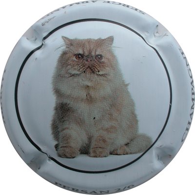N°06 Série de 6 chats, 2/6, Persan
Photo GOURAUD Jacques
