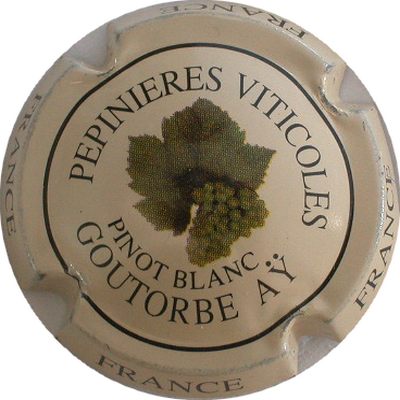 N°02 Pinot blanc
Photo GOURAUD Jacques
