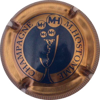 N°30 Bronze et bleu, striée
Photo GOURAUD Jacques
