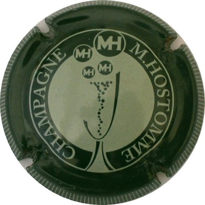 N°33 Vert et vert clair, striée
Photo GOURAUD Jacques
