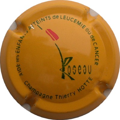 N°19 Série roseau, jaune
Photo GOURAUD Jacques
