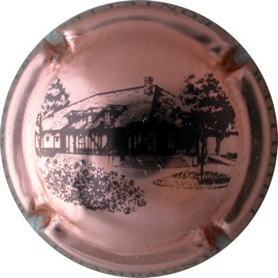 N°004 Cuivre rosé et noir
Photo GOURAUD Jacques
