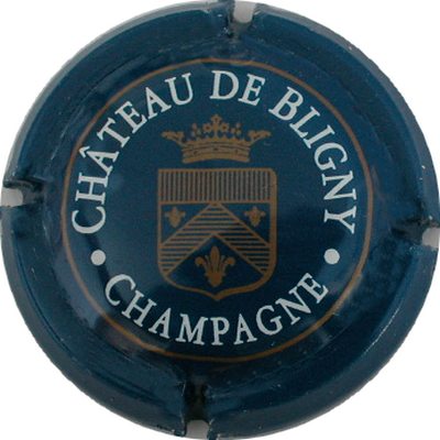 N°04c Bleu-nuit, blanc et or
Photo GOURAUD Jacques
